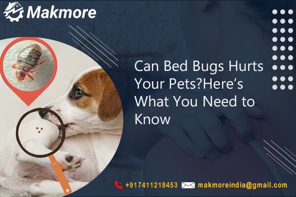Can Bed Bugs Hurt Your Pets? Here’s What You Need to Know