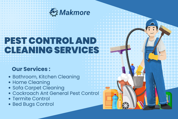Why You Need Professional Pest Control and Cleaning Services