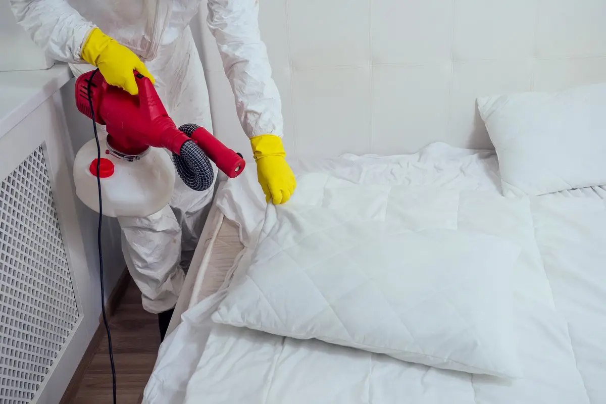 Bedbug-Control